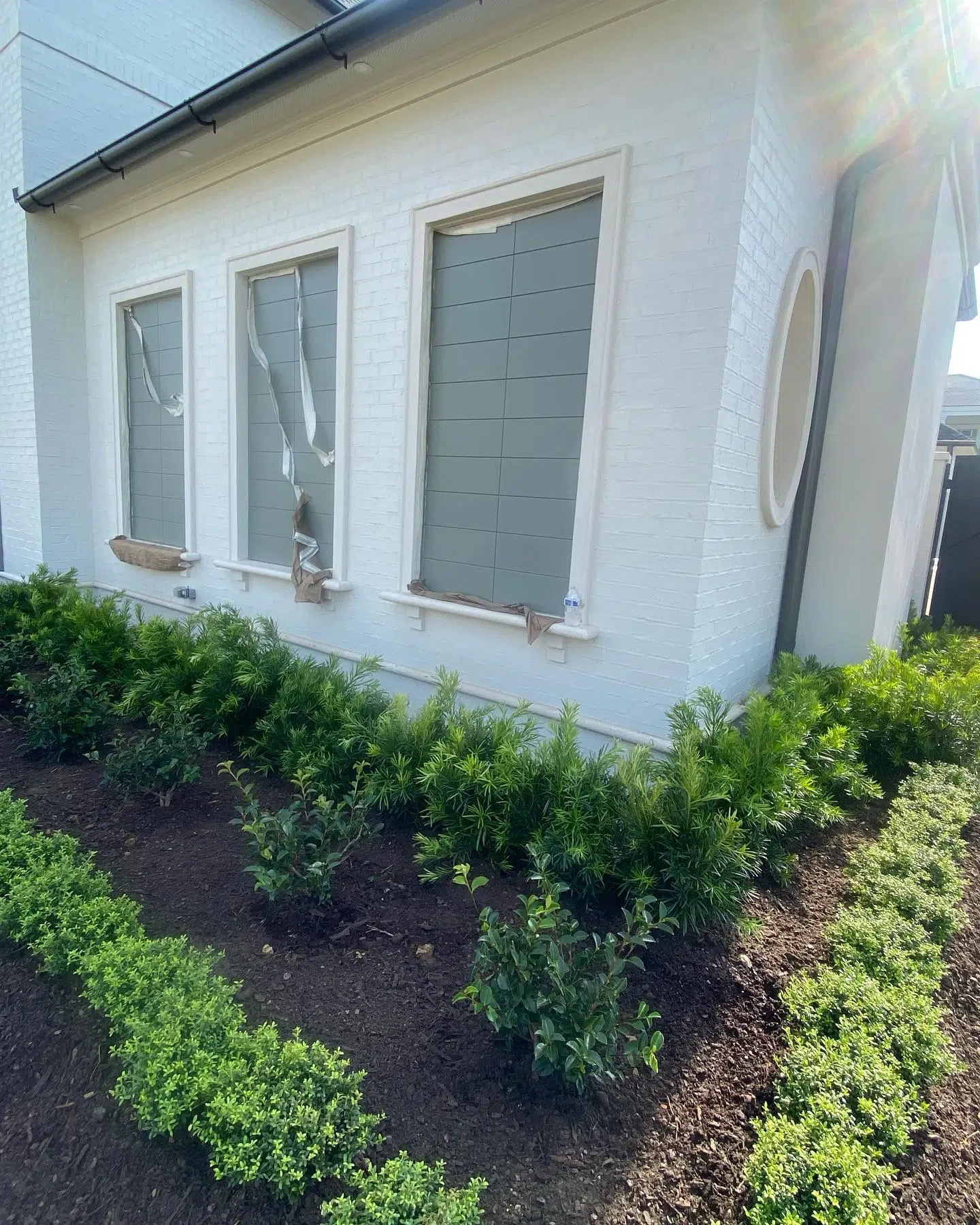 A Complete Guide to Tree Planting for Homeowners Planning Long-Term Landscape Growth_ A Complete Guide to Tree Planting for Homeowners Planning Long-Term Landscape Growth
