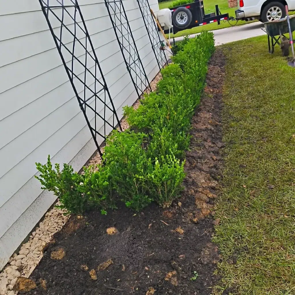 Tree Planting Services in St. George LA Tree Planting Services in St. George LA