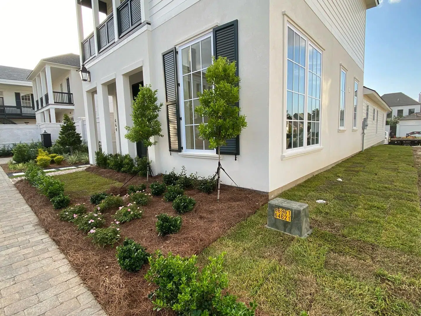 What to Expect When Hiring a Professional Tree Planting Service in Baton Rouge, LA? What to Expect When Hiring a Professional Tree Planting Service in Baton Rouge, LA?