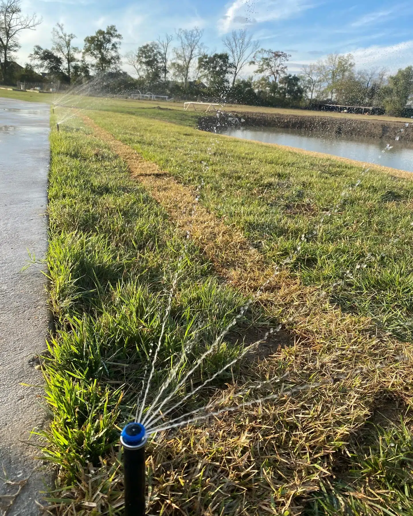 5 Red Flags of Irrigation System Failure and the Best Methods for Repair in St. George, LA