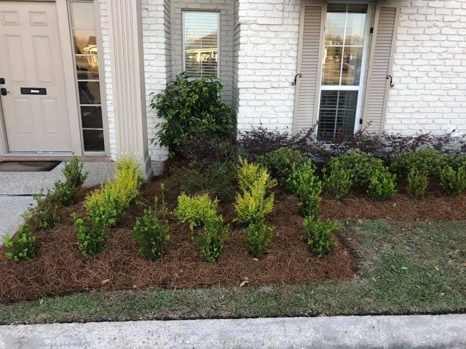 Landscaping vs. Hardscaping: Choosing the Best Balance for Your New Roads, LA Homes