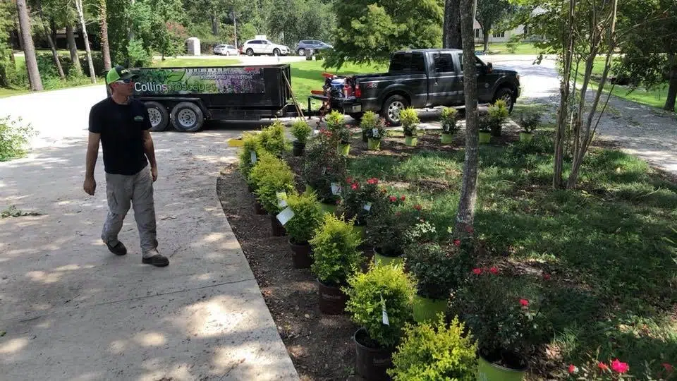 Landscaping vs. Hardscaping: Choosing the Best Balance for Your New Roads, LA Homes