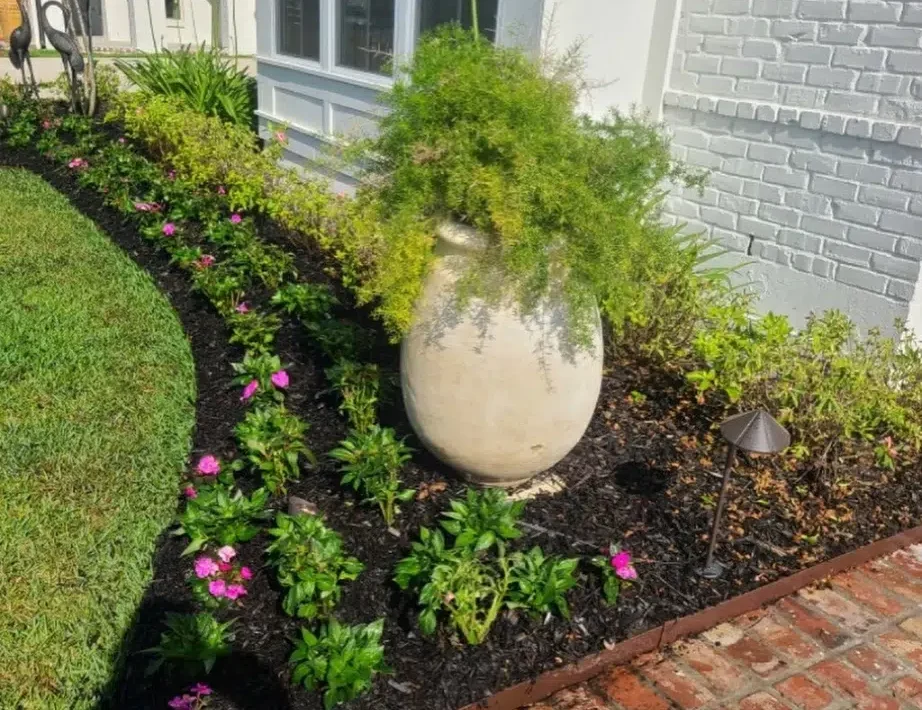 How Can Professional Landscaping Completely Transform Outdoor Living Spaces How Can Professional Landscaping Completely Transform Outdoor Living Spaces?