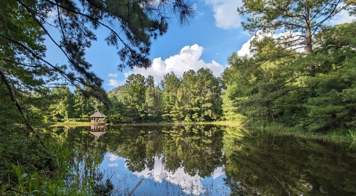 Mary Ann Brown Nature Preserve