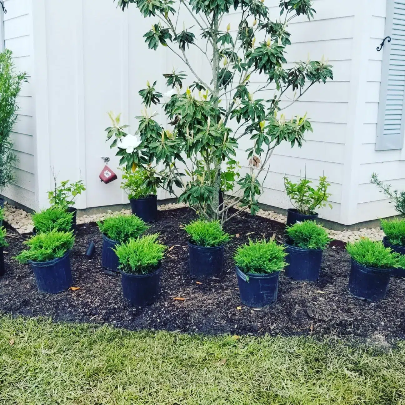 Professional Landscaping & Lawn Care Contractor in White Castle, LA-WHY CHOSE US Professional Landscaping Lawn Care Contractor in White Castle LA WHY CHOSE US