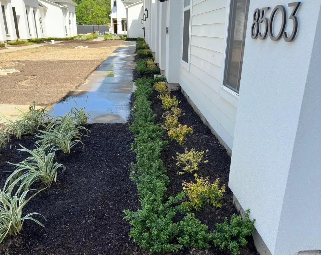 Why Is Professional Tree Placement Important for Long-Term Landscape Health? Why Is Professional Tree Placement Important for Long-Term Landscape Health?