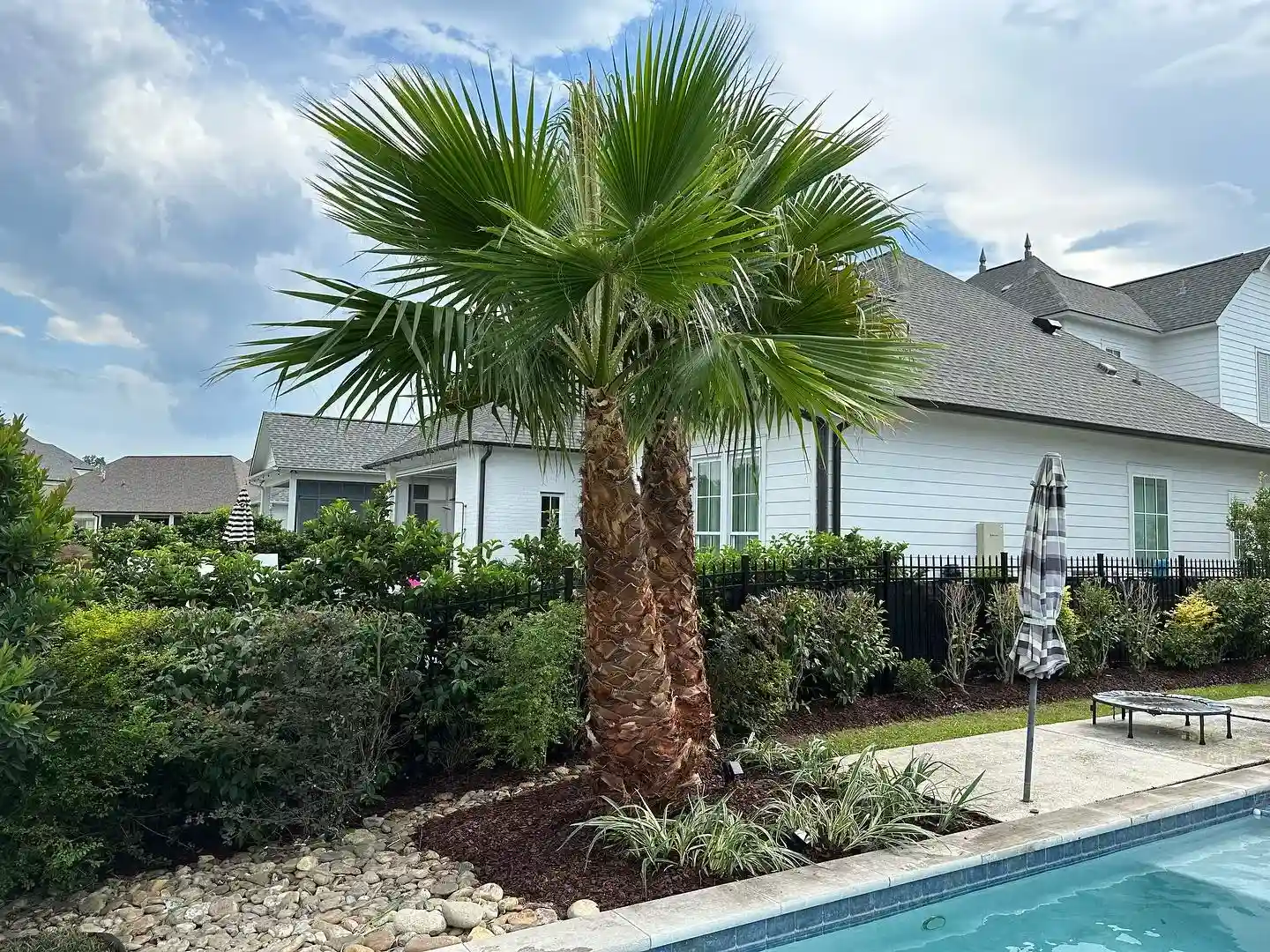 Residential Lawn Maintenance Baywood LA Residents Depend On