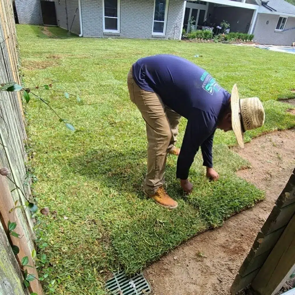 What Are the Most Common Lawn Care Mistakes Homeowners Make in Baton Rouge, LA?