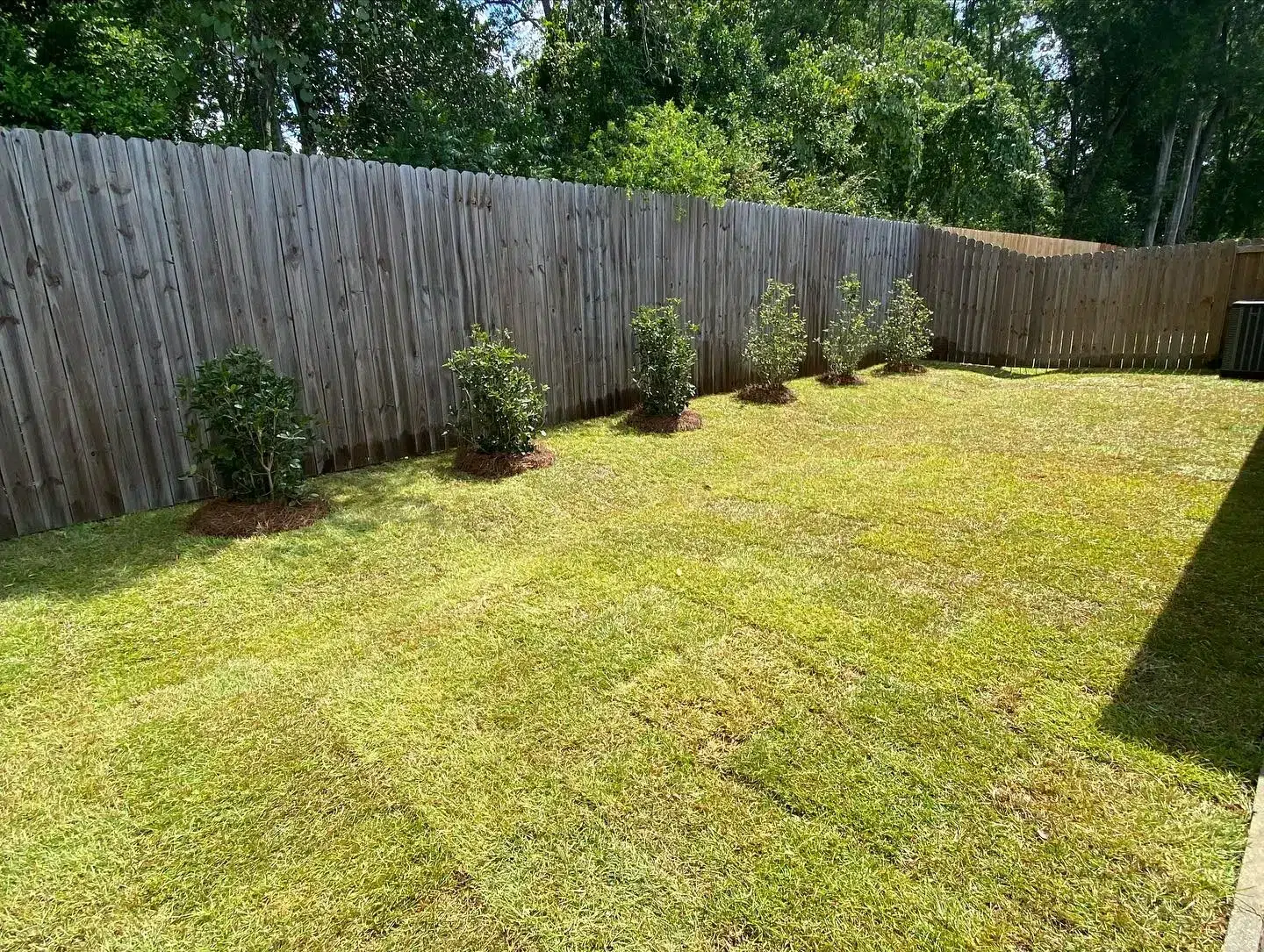 Why Do Weeds Keep Coming Back in New Orleans, LA Yards No Matter How Often You Remove Them?