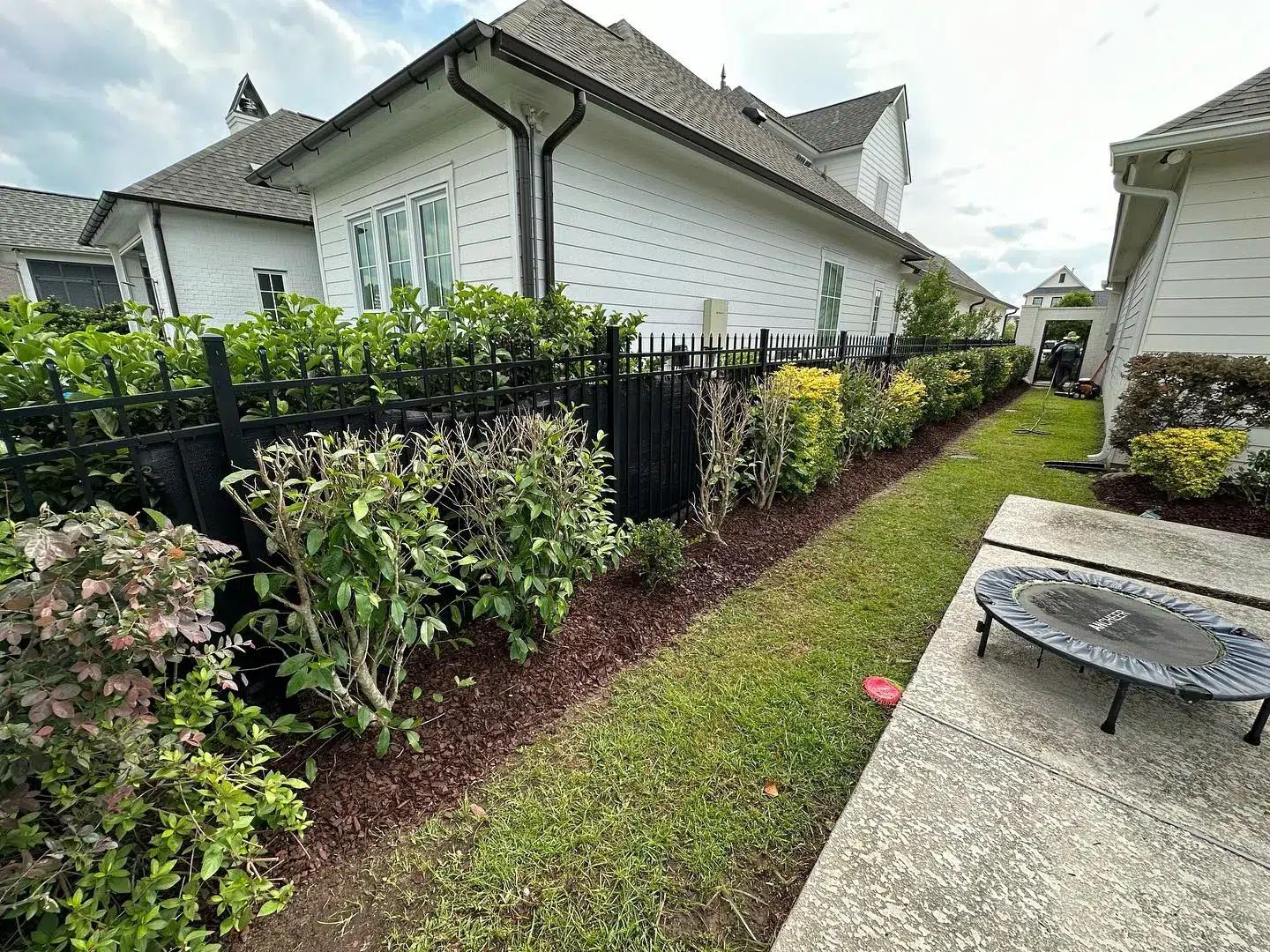 What Happens to Your Property Value in New Orleans, LA When Landscaping Is Neglected for Years?
