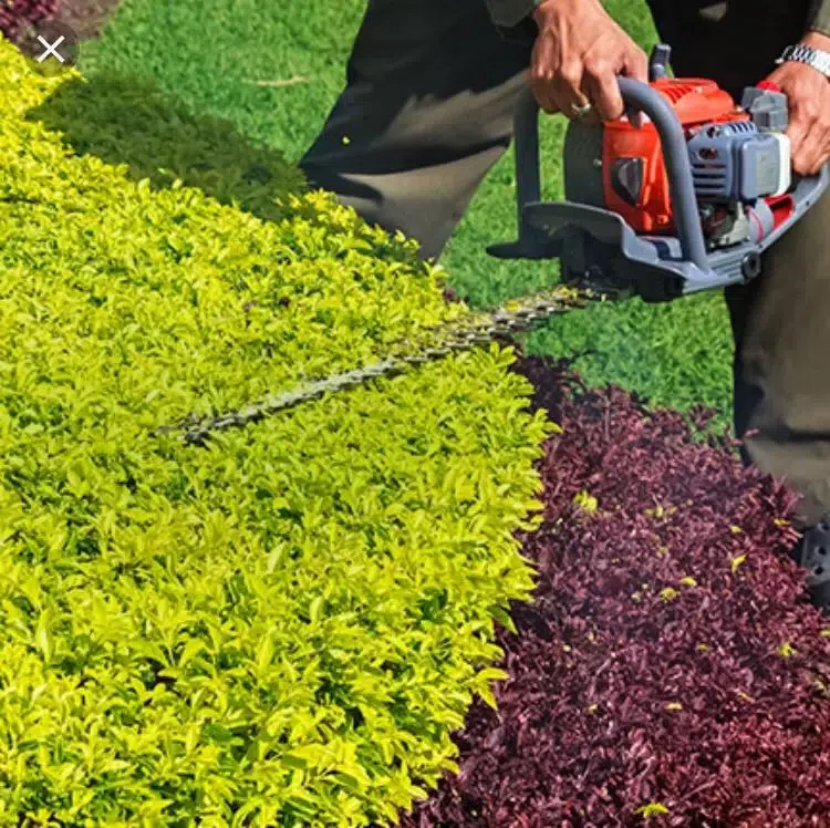 Lawn Maintenance Ascension Parish LA