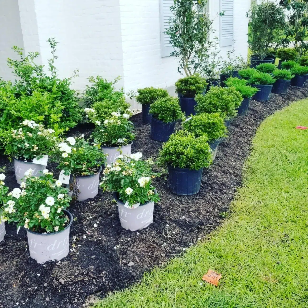 Residential and Commercial Lawn Care Ascension Parish LA
