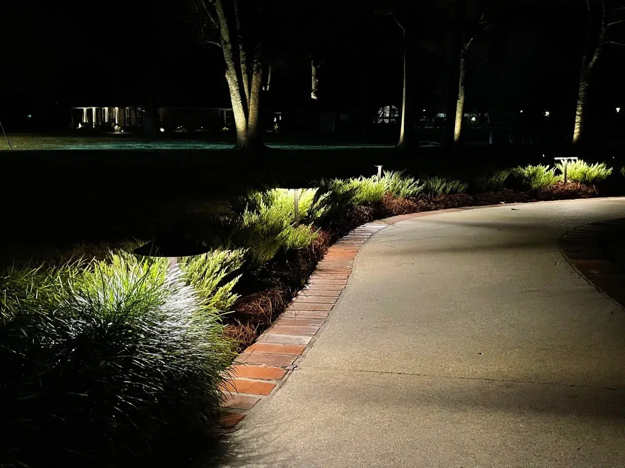 Which Areas of Your Property Benefit Most From Outdoor Lighting for Safety and Curb Appeal?