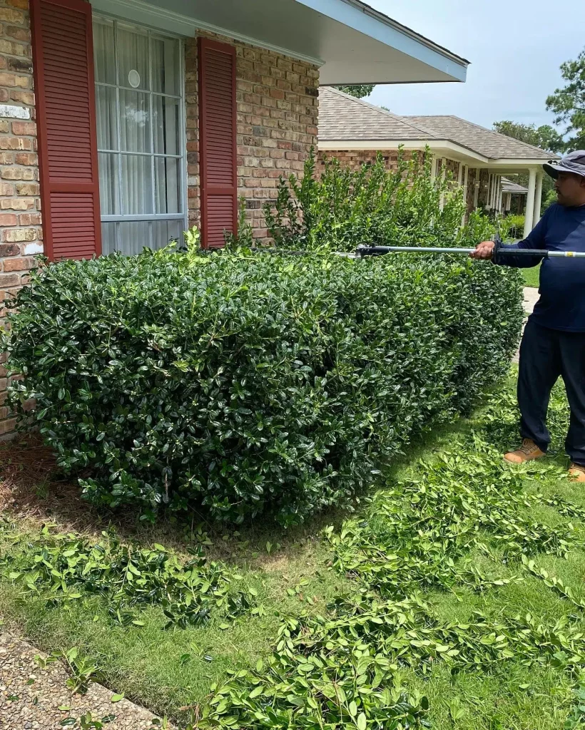 Why Neighbors Call Us the Go To Zachary Patio Company Why Neighbors Call Us the Go To Zachary Patio Company