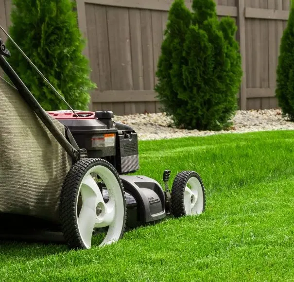 Artificial Turf All Seasons Landscaping