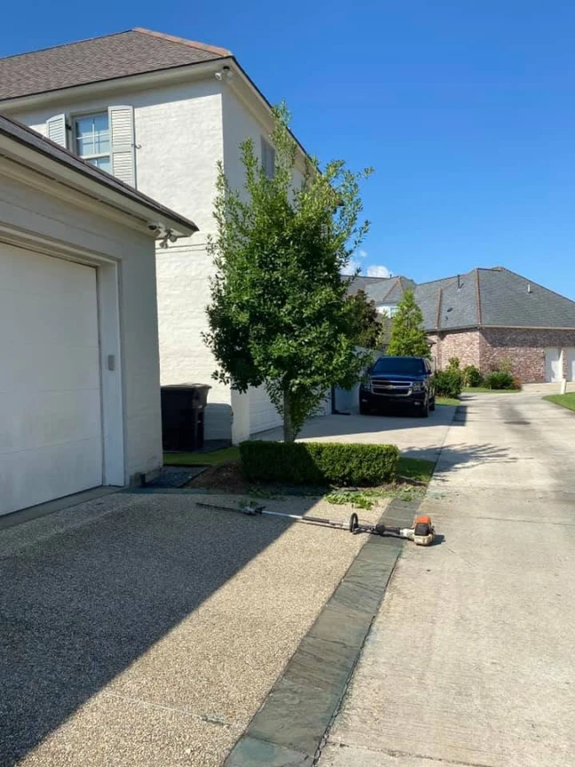 How Does Regular Hedge Trimming Improve Your Landscape&rsquo;s Overall Appearance?
