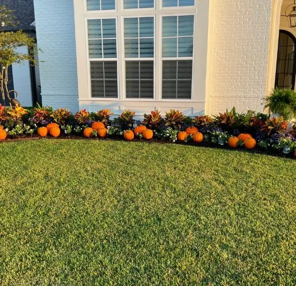 Landscaping Baton Rouge All Seasons Landscaping