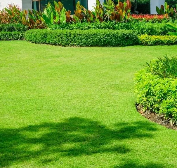 Lawn Care Services All Seasons Landscaping