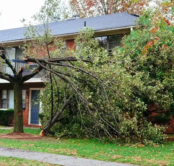 Storm Cleanup Services All Seasons Landscaping